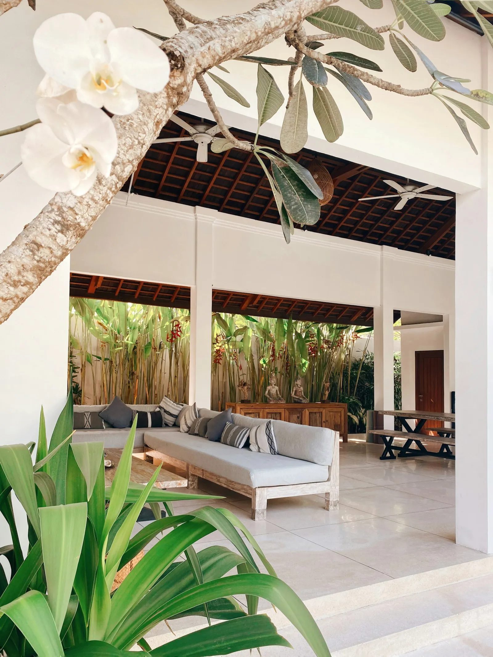 Open-air living room with tropical plants